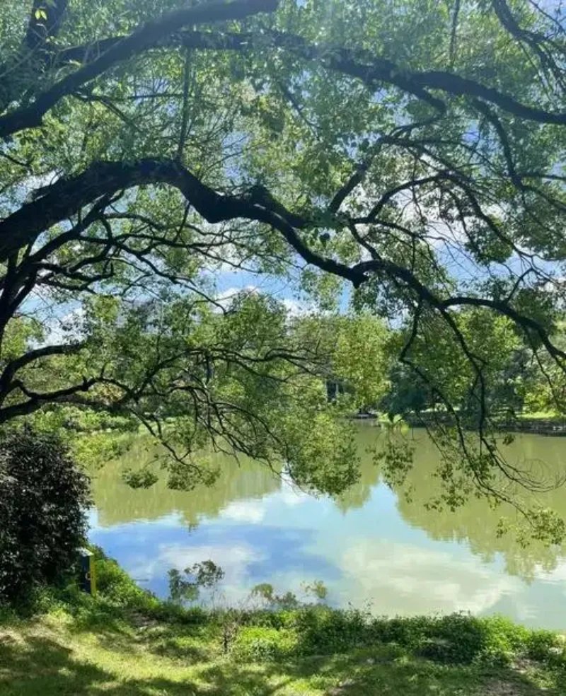 Silicone Storage Box 2026 FOR Jetour Traveler Center Console Modification Anti-slip Pad Accessories Organizer Decoration